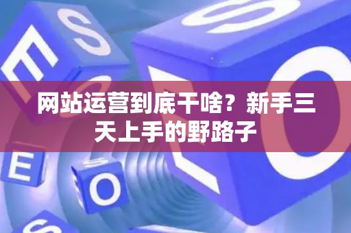 网站运营到底干啥?新手三天上手的野路子 网站运营到底干啥?新手三天上手的野路子
